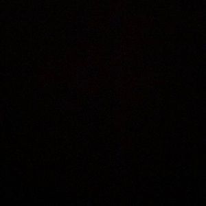 Meet your Posher, Lilia